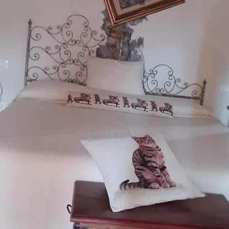 La Casa Stregatta *